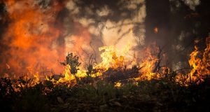 Wildfires