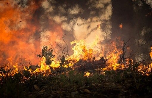Wildfires