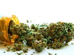 Prescription marijuana