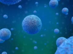 Stem Cell Therapy