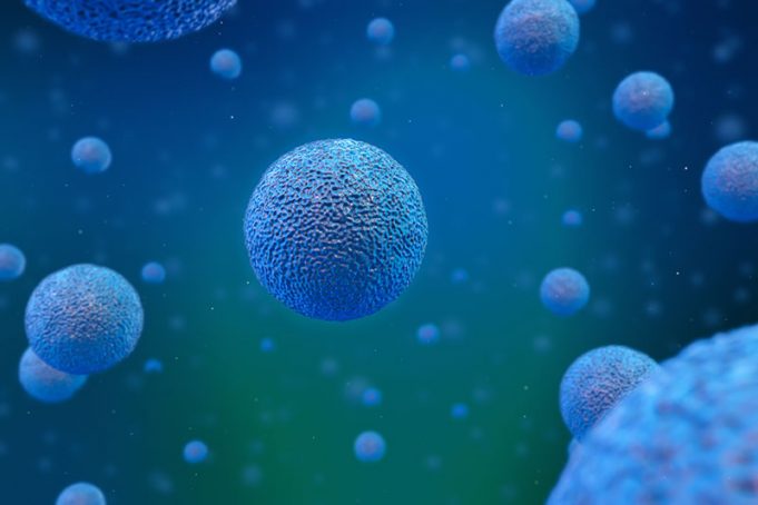 Stem Cell Therapy