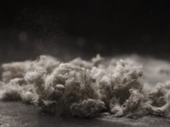 Asbestos