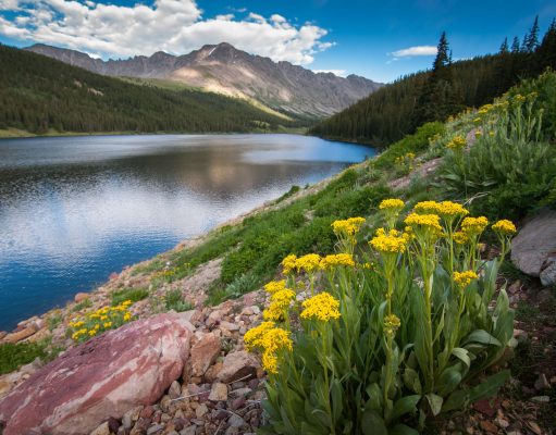 Colorado Springs