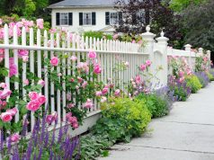 Boost that curb appeal