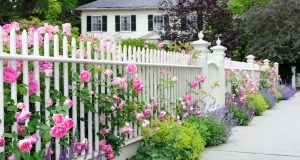 Boost that curb appeal